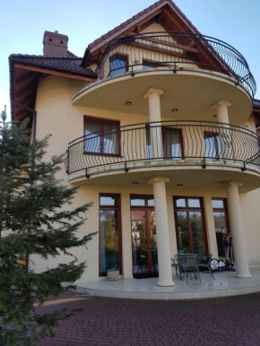 Villa Amber in Miedzywodzie